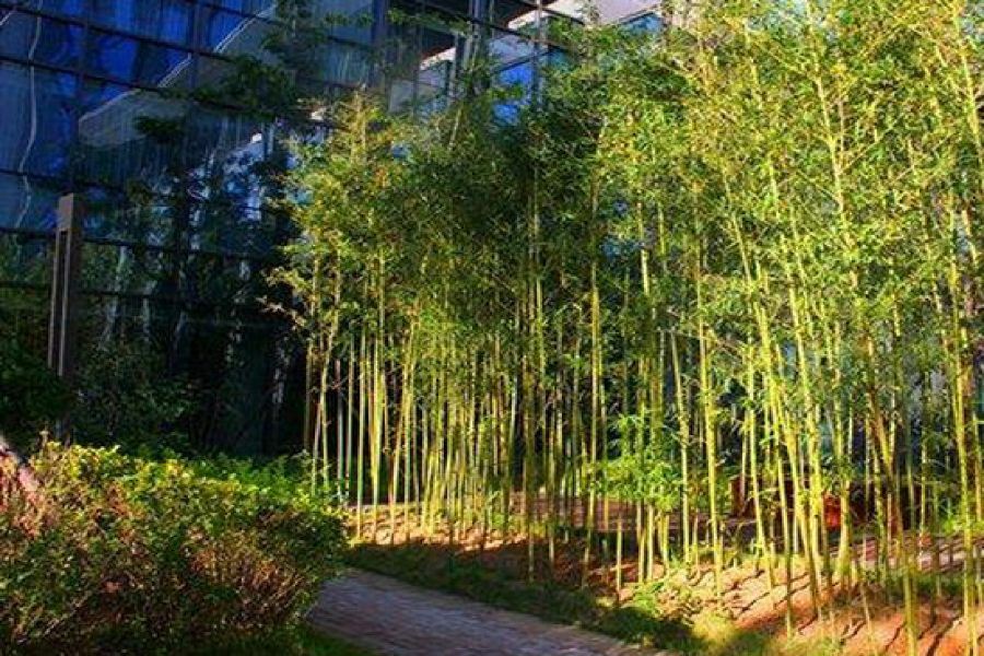 Zhongjian Yanqi Lake View Hotel Pékin  Extérieur photo